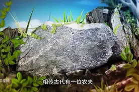 石硫磺，今天讲讲石硫磺的故事。图片