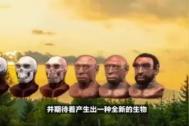 强行让母牛和公马杂交，能生下什么动物，会不会是小牛马？图片