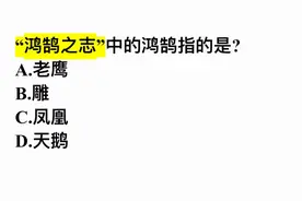 “鸿鹄之志”中的鸿鹄指的是？是老鹰吗？难住了学霸图片