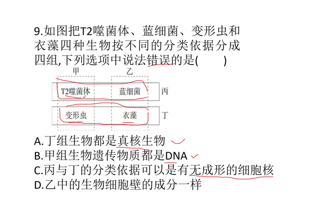 生物老师带你刷题