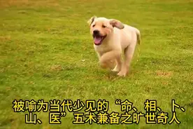 鼻炎不是病，不过是气不足图片