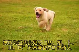 鼻炎不是病，不过是气不足图片