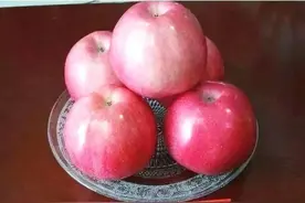 苹果树还有大量栽种的价值吗？哪些品种最好？图片