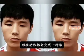 方便：甄子丹的功夫只是套路！张伟丽：错！他能打UFC#甄子丹图片