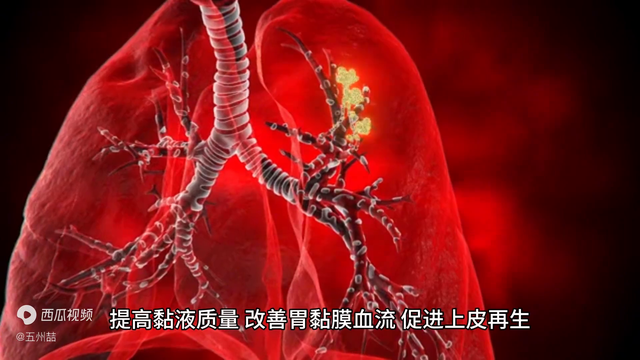 荆花胃康胶九治胃病的效果 2026年荆花胃康胶丸功效及副作用