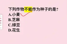 考考你：下列作物不能作为种子的是？是小麦么？图片