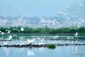 【小城故事】神秀天台图片