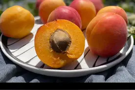 杏仁和巴旦木有何不同 #坚果图片