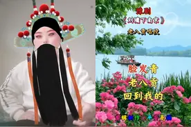 豫剧刘墉下南京老八贡唱段，江宁府狗官真是楞，气得老夫脸发青图片