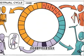 终于有人把经期说明白了，赶快转发给你的女儿和另一半! #月经图片