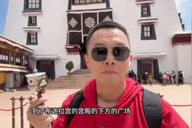 住进布达拉宫，我是雪域最大的王。 流浪在拉萨街头图片