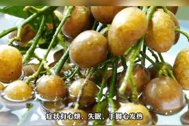 入睡难的人可能是阴虚了图片