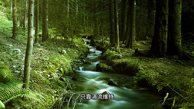 新手机要怎么充电才耐用？