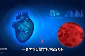 揭秘第二心脏：呼吸与血液循环的奇妙互动图片