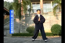 张至顺道长 全套八部金刚功（5遍版）图片