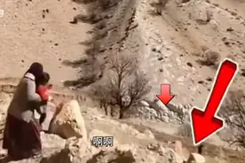 藏马熊，俗称人面熊假装人直立向你招手，诱骗你过来，太可怕了图片
