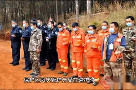 云南发现奇特毒蛇：虎斑颈槽蛇会“炼毒”图片