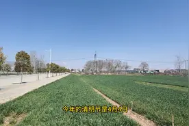 今年清明节，哪一天适合扫墓图片