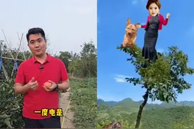 都是农民浇地电费，价格能相差一块钱？这个标准到底是谁定的？图片