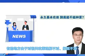 永久基本农田到底能不能种菜？图片