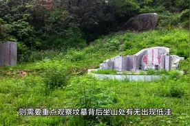 如果你看了很多公墓，依旧比较迷茫，那我告诉你应该怎么选。图片