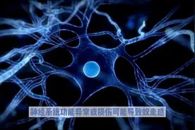 皮肤蚁走感：揭示神经系统异常的神秘信号图片