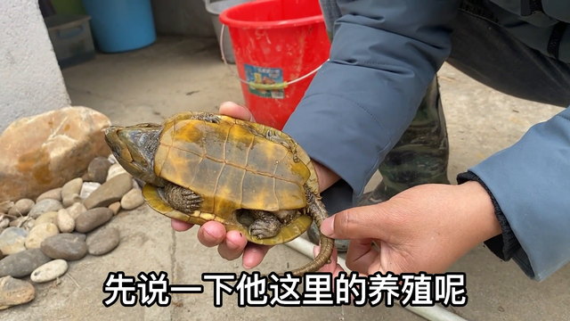 江西大山深处独住一户人家，一年收入100多万，难怪他不愿意搬