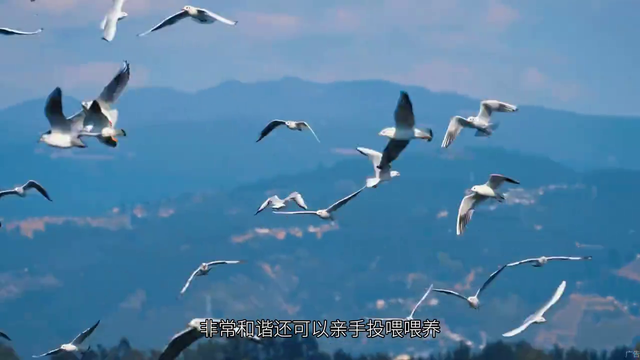 玩转西昌，3天2晚超全攻略送给大家，记得带上家人，住邛海宾馆
