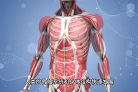 为什么人长大了就不在长高，只会长胖了，人体生长生理机制...图片