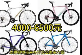 各价位公路车介绍（三）4000-6500元 #公路车推荐图片