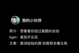 眼泪轻轻的擦 别管那多嘴乌鸦#眼泪轻轻地擦别管那多嘴乌鸦图片