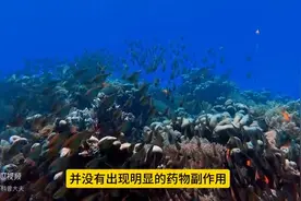 长期吃他汀和阿司匹林，复查要做哪些项目？提醒：6项检查不可少图片