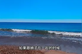 心狠嘴也狠的4个星座，好胜心强，输了一定要赢回来！图片