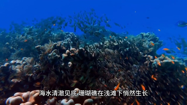 雅加达旅游必去：五大必游景点全攻略