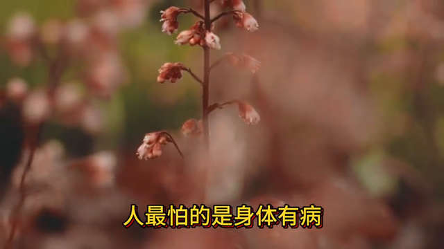 突然发现，退休后有远见的人，都在做3件事，越做人越旺