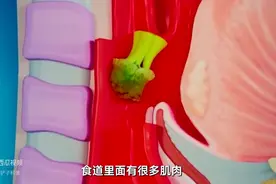 为什么吃东西会被呛到呢？图片