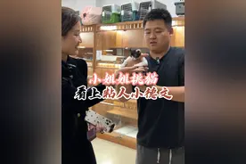 好奇鹦鹉跟猫能同时养在一起吗？鹦鹉会不会变成猫的玩具呢？！#壮实说猫 #鹦鹉 #德文卷毛猫