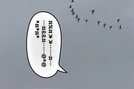 北方地区突然大幅度降温，开春飞过来的大雁又南归了~ #北方降温 #降温 #开春没开成视频封面