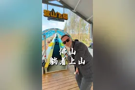 在佛山爬山是自动挡的？上山下山20分钟#发现宝藏小城 #佛山