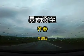 齐秦-暴雨将至-金碟版 《暴雨将至》是齐秦的音乐作品视频封面