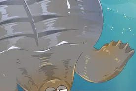 堪称水中大熊猫的鼋，到底是一种什么生物？#轻漫计划 #冷知识 #保护野生动物 #文化视频封面