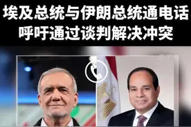 埃及总统与伊朗总统通电话 呼吁通过谈判解决冲突
