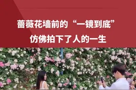 蔷薇花墙前的“一镜到底”仿佛拍下了人的一生。#校园 #生活 #人生