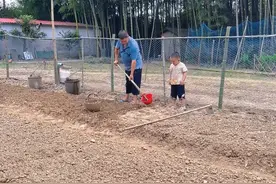 吃过这么多年的大蒜 原来它是这么种出来的啊#种大蒜的正确方法