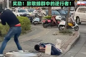 寻找无名英雄！四名路人勇救被蜂群袭击男生视频封面