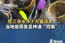 怒江涨水冲下大量浮木，当地居民各显神通“捡柴”，肩挑背扛，甚至挂绳下江，当地：很危险 有专人劝阻 #云南  #怒江  #涨水  #捡柴