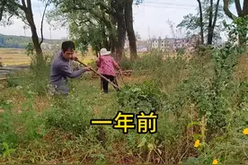 在农村带娃花一年时间为媳妇打造一个乡村世外桃源全集#亲手打造世外桃源 #小院改造 #新农人计划2025 #建造田园生活