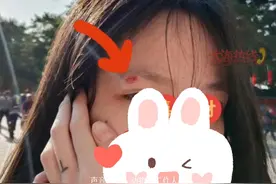 网红猩猩又惹祸
游客被“爆头”手机破损视频封面