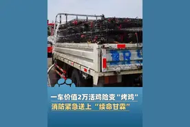 7月14日，河南南阳一货车高速爆胎抛锚！38℃高温下，一车活鸡险变“烤鸡”（河南消防）#河南dou知道 #大象主播说