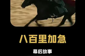 八百里加急：为什么古代八百里加急，无人敢劫 #八百里加急 #历史 #信使视频封面